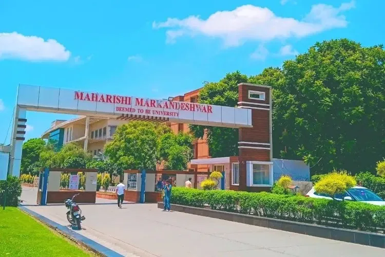 The main entrance gate of Maharishi Markandeshwar University, Mullana