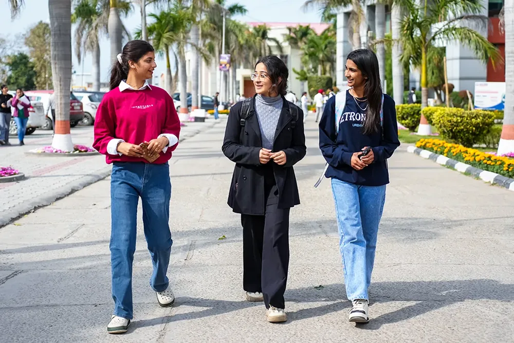Students on the palm-lined avenue at Rayat Bahra University